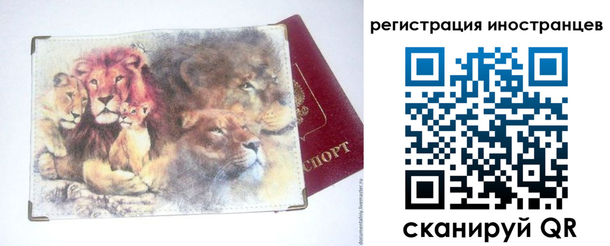 прописка от собственника в Оренбурге
